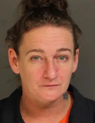 Ardner pleads guilty to corruption of minors, other charges from two criminal cases